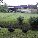 img_4507