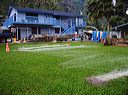 img_4942