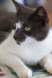 img_4869