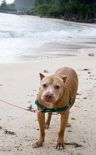 img_6284.jpg