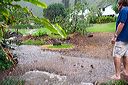img_0648
