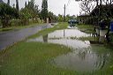 img_0660