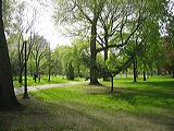img_1599