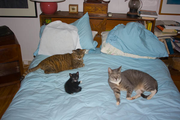 Then it was bedtime, but we werent' the first to get there.