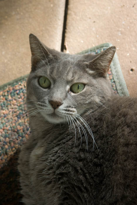 And she's still very photogenic!