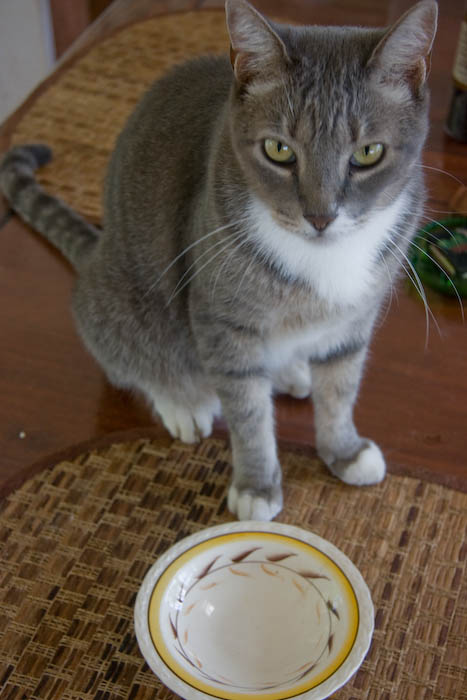 Leo's letting me know that somehow this dish was empty.