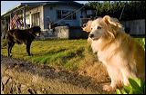 img_0166