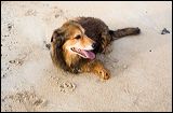 img_0301