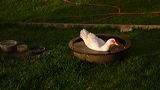 august_gallery-13