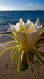 august_gallery-8