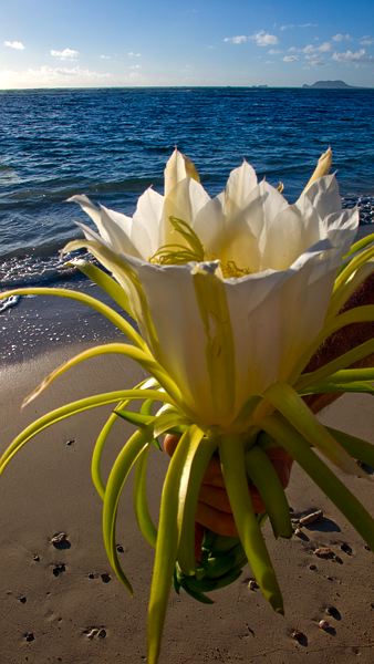 august_gallery-8.jpg