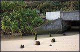 img_9385