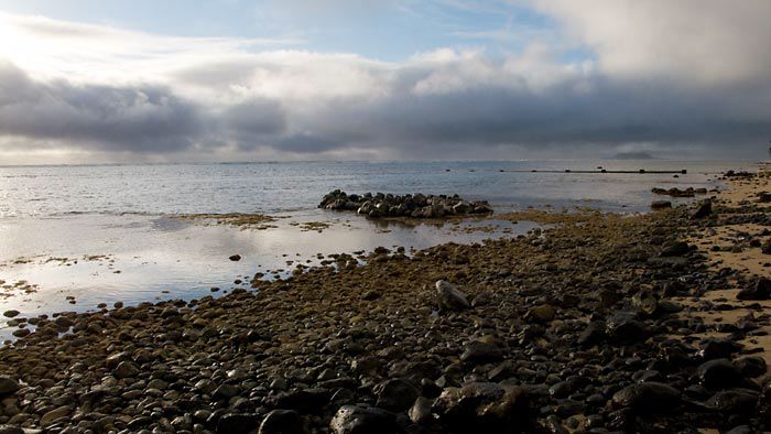 p1030109.jpg