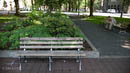 Good urban design, with the park blocks that run through downtown.