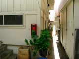 img_2616