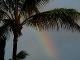 img_2647