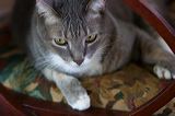 img_1397