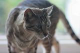 img_1432