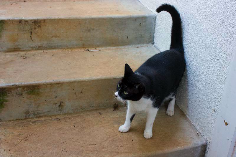 harry-stairs.jpg