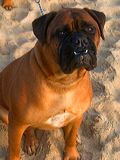 img_1083