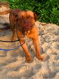 img_1085