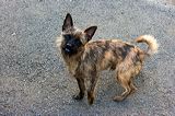 img_1529