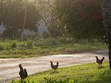 img_0655