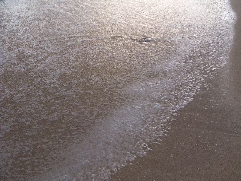 img_0492.jpg