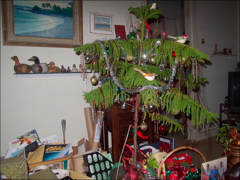 xmas09-2.jpg