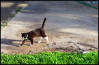 cats0507-14
