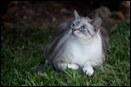 img_1860