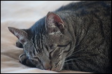 img_2548
