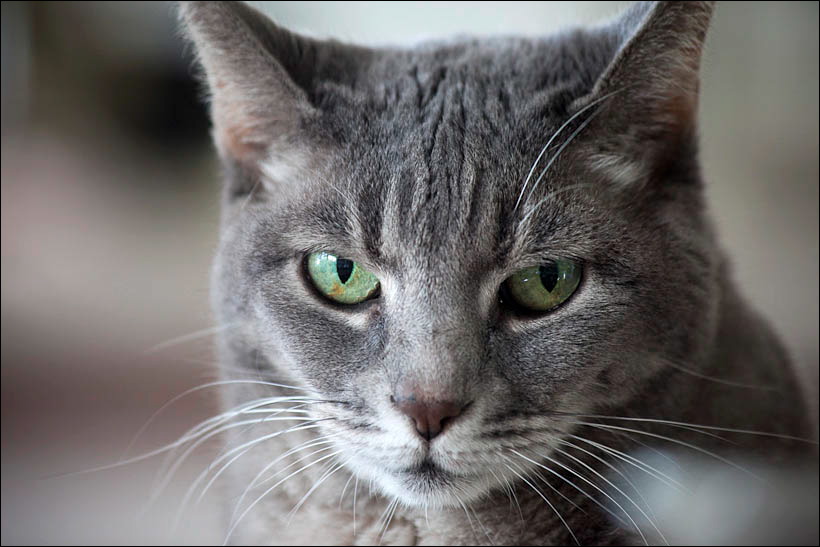 img_2563.jpg