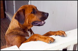 img_7326