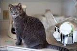 img_3457