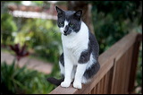 img_4893