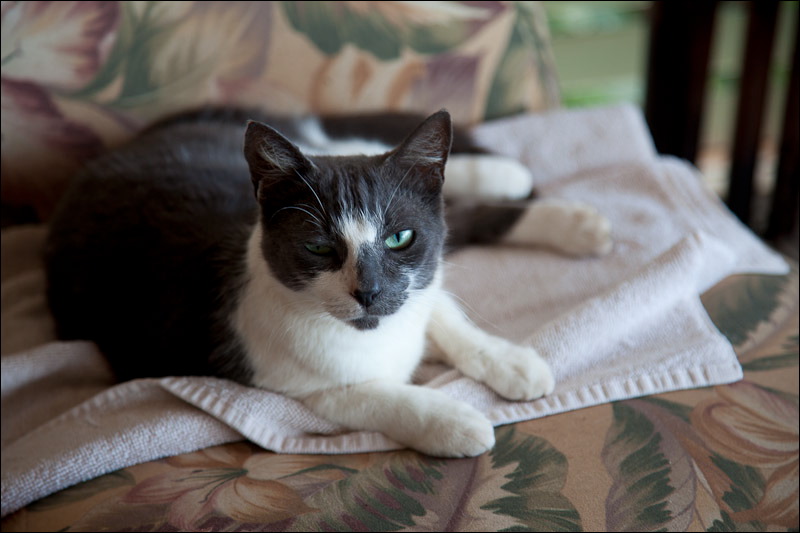 img_5009.jpg