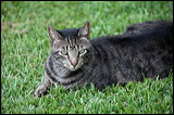 img_5153