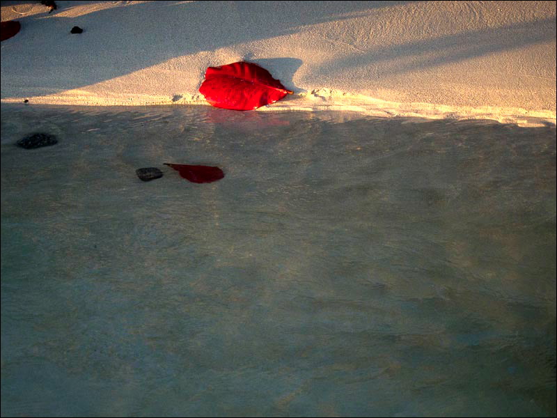 popoki-20.jpg