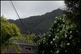 img_5864