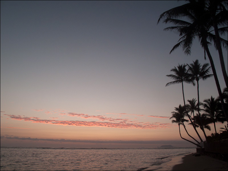 Dawn on the beach