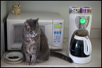 cats0302-15