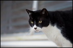 img_8437