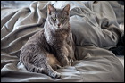 img_8794