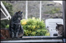 img_1628