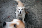 img_8202