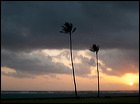 img_0010