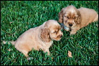 img_0768