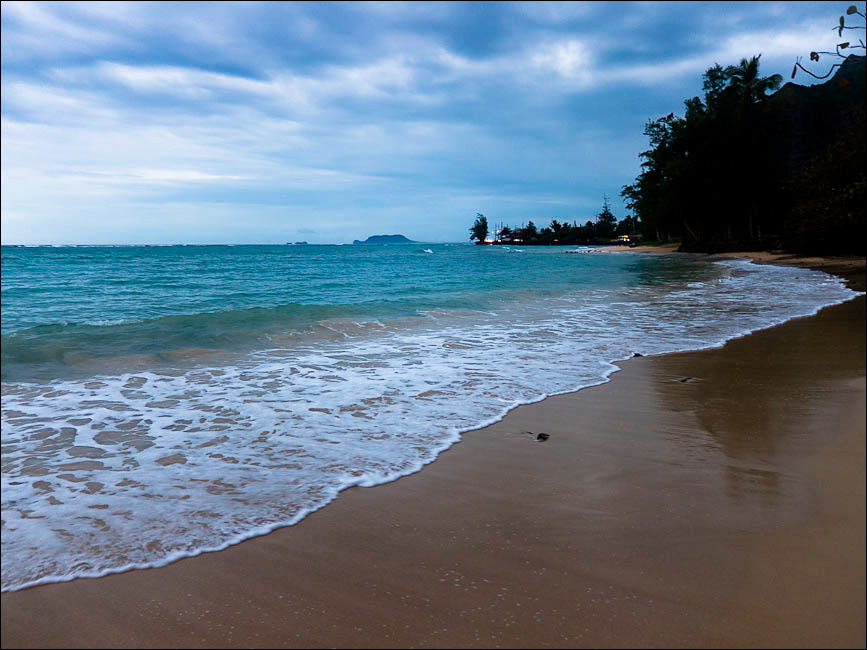 jan2012--12.jpg