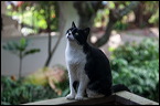 img_2610